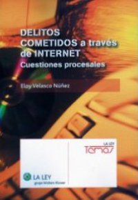 DELITOS COMETIDOS A TRAVÉS DE INTERNET. Cuestiones Procesales